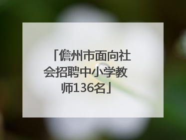 儋州市面向社会招聘中小学教师136名