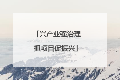 兴产业强治理 抓项目促振兴