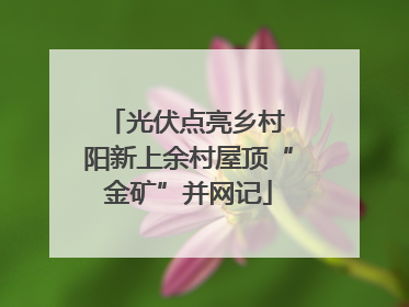 光伏点亮乡村 阳新上余村屋顶“金矿”并网记