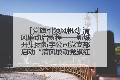 党旗引领风帆劲 清风廉动启新程——新城开集团新宇公司党支部启动“清风廉动党旗红”系列活动