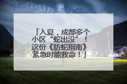 入夏，成都多个小区“蛇出没”！这份《防蛇指南》紧急时能救命！