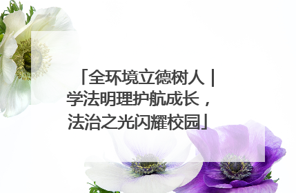 全环境立德树人｜学法明理护航成长，法治之光闪耀校园