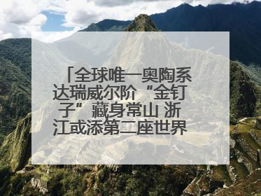 全球唯一奥陶系达瑞威尔阶“金钉子”藏身常山 浙江或添第二座世界地质公园