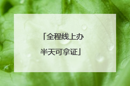 全程线上办 半天可拿证