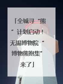 全城寻“熊”计划启动！无锡博物院“博物熊抱集”来了