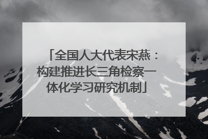 全国人大代表宋燕：构建推进长三角检察一体化学习研究机制
