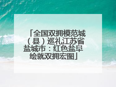 全国双拥模范城（县）巡礼江苏省盐城市：红色盐阜绘就双拥宏图