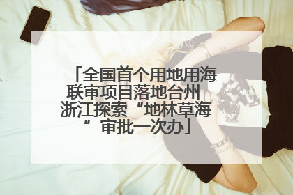 全国首个用地用海联审项目落地台州 浙江探索“地林草海”审批一次办