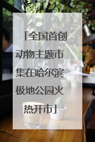 全国首创动物主题市集在哈尔滨极地公园火热开市