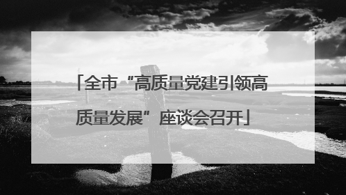 全市“高质量党建引领高质量发展”座谈会召开