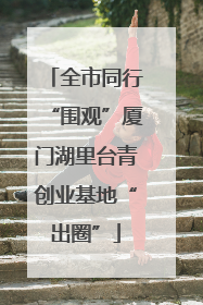 全市同行“围观”厦门湖里台青创业基地“出圈”