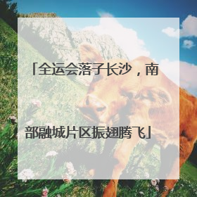 全运会落子长沙，南部融城片区振翅腾飞