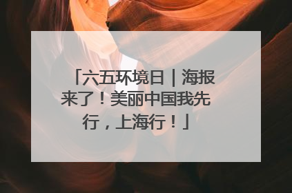 六五环境日｜海报来了！美丽中国我先行，上海行！