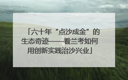 六十年“点沙成金”的生态奇迹——看兰考如何用创新实践治沙兴业