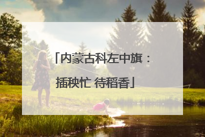 内蒙古科左中旗：插秧忙 待稻香