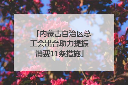 内蒙古自治区总工会出台助力提振消费11条措施