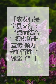 农发行绥宁县支行：“点面结合”织密防非宣传 倾力守护百姓“钱袋子”