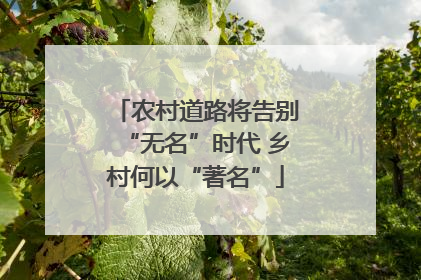 农村道路将告别“无名”时代 乡村何以“著名”