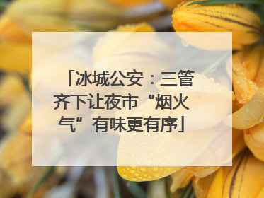 冰城公安：三管齐下让夜市“烟火气”有味更有序