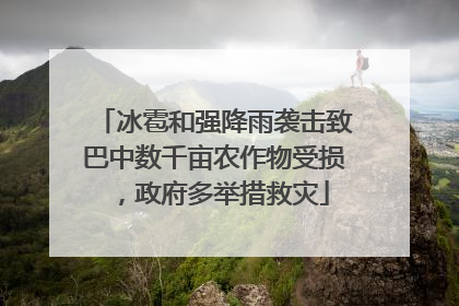 冰雹和强降雨袭击致巴中数千亩农作物受损，政府多举措救灾