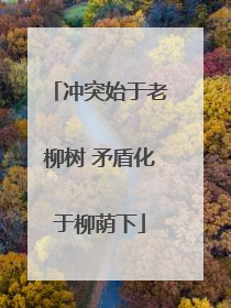 冲突始于老柳树 矛盾化于柳荫下