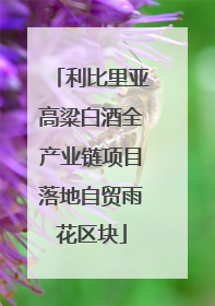 利比里亚高粱白酒全产业链项目落地自贸雨花区块