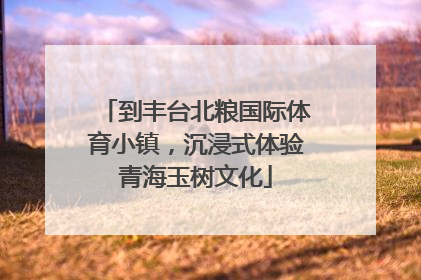 到丰台北粮国际体育小镇，沉浸式体验青海玉树文化