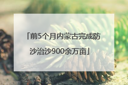 前5个月内蒙古完成防沙治沙900余万亩
