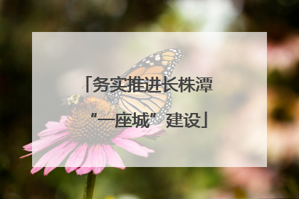 务实推进长株潭“一座城”建设