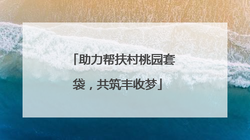 助力帮扶村桃园套袋，共筑丰收梦