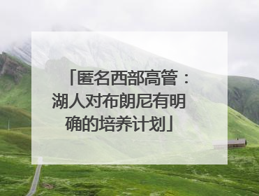 匿名西部高管：湖人对布朗尼有明确的培养计划