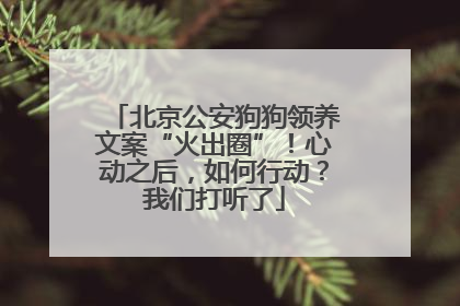 北京公安狗狗领养文案“火出圈”！心动之后，如何行动？我们打听了