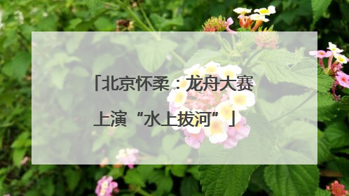 北京怀柔：龙舟大赛上演“水上拔河”