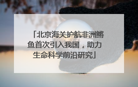 北京海关护航非洲鳉鱼首次引入我国，助力生命科学前沿研究