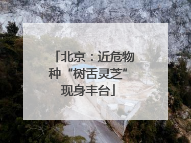 北京：近危物种“树舌灵芝”现身丰台