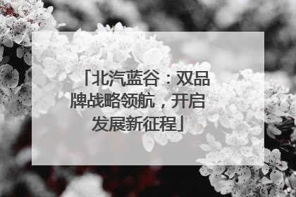 北汽蓝谷：双品牌战略领航，开启发展新征程