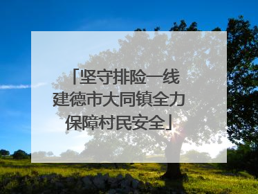 坚守排险一线 建德市大同镇全力保障村民安全
