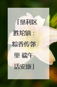垦利区胜坨镇：粽香传邻里 端午话安康