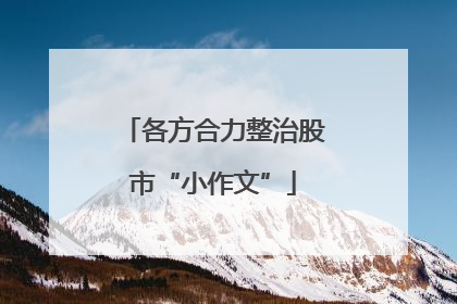 各方合力整治股市“小作文”