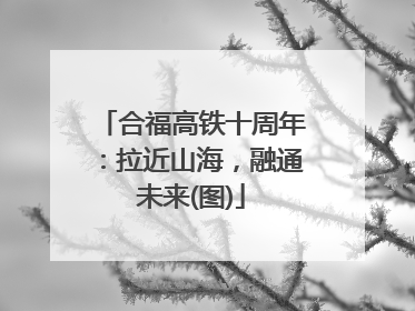 合福高铁十周年：拉近山海，融通未来(图)