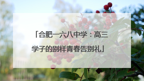 合肥一六八中学：高三学子的别样青春告别礼