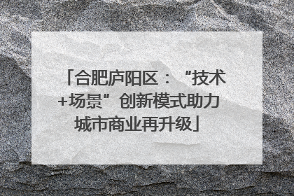 合肥庐阳区：“技术+场景”创新模式助力城市商业再升级