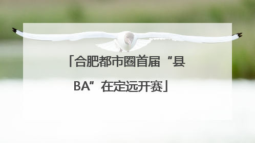 合肥都市圈首届“县BA”在定远开赛