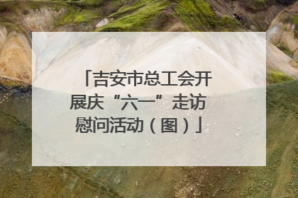 吉安市总工会开展庆“六一”走访慰问活动（图）