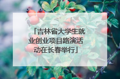 吉林省大学生就业创业项目路演活动在长春举行