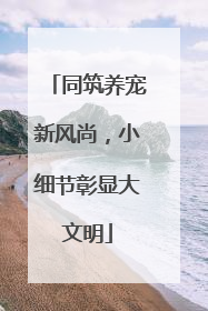 同筑养宠新风尚，小细节彰显大文明
