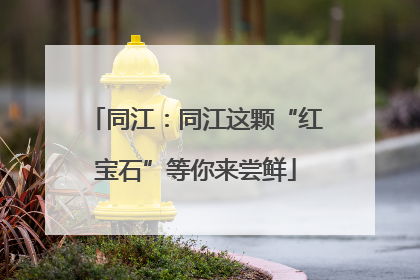 同江：同江这颗“红宝石”等你来尝鲜