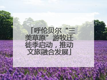 呼伦贝尔“三美草原”游牧迁徙季启动，推动文旅融合发展