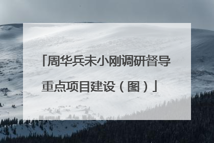 周华兵未小刚调研督导重点项目建设（图）
