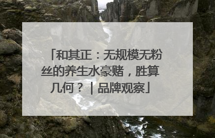 和其正：无规模无粉丝的养生水豪赌，胜算几何？｜品牌观察